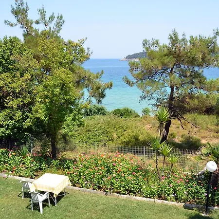 Giannis αdults Only 3*