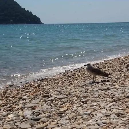 ゲストハウス Giannis αdults Only コイニラ