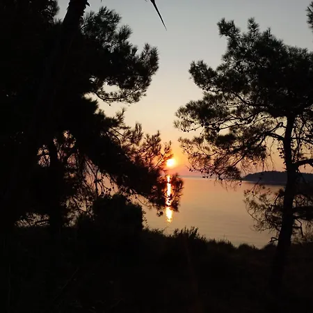 Giannis αdults Only コイニラ