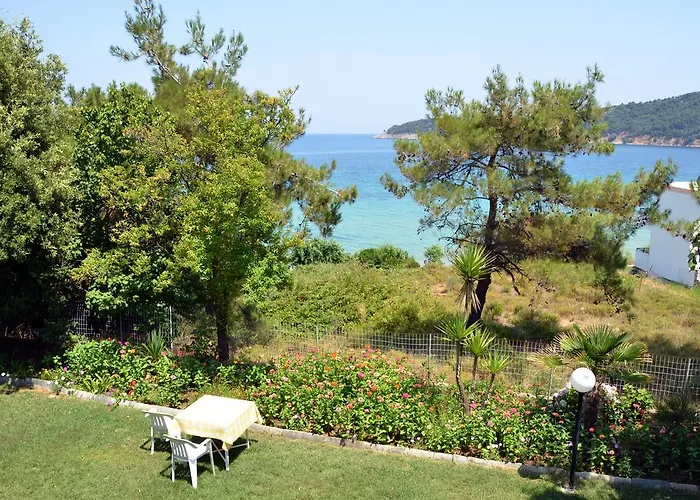 Giannis αdults Only 3*