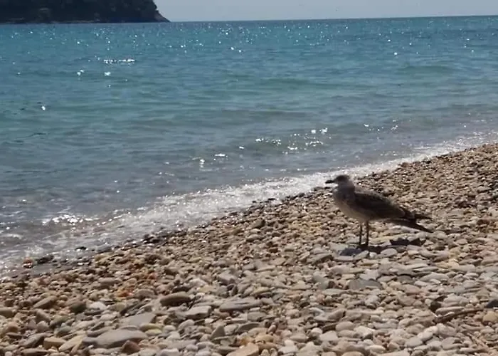 Casa de hóspedes Giannis αdults Only Koinira