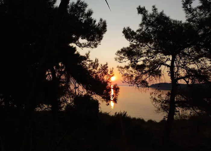 Giannis αdults Only Koinira