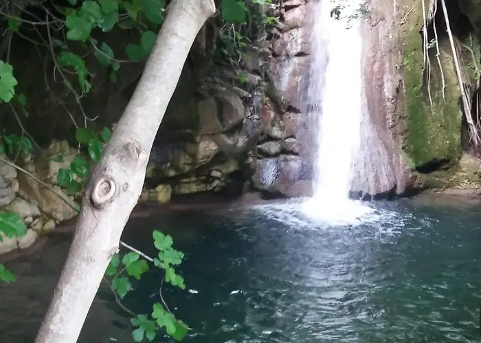 Giannis αdults Only